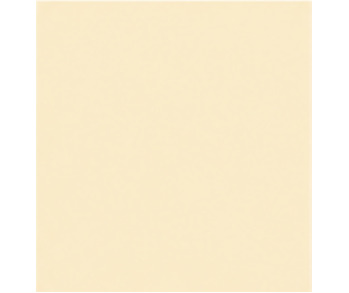 PAINT 1 LTR CASE DB WHITE ENAMEL